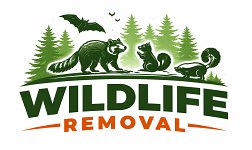 dfwwildlifecontrol.com